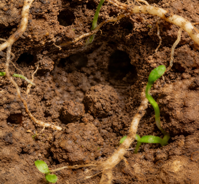 土壤養(yǎng)分快速檢測(cè)儀哪個(gè)靠譜？國(guó)產(chǎn)土壤養(yǎng)分速測(cè)儀權(quán)威評(píng)測(cè)與選購(gòu)指南